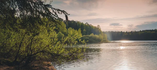 Прекрасний Літній Краєвид Захід Сонця Над Озером Лісом Формат Прапора — стокове фото