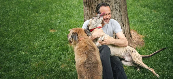 Mutlu Olgun Bir Adam Yaşında Çimenlerde Dinlenirken Köpekleriyle Yürüyor Şefkatle — Stok fotoğraf