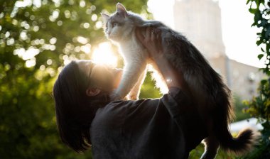 Şirin, güzel, tüylü kedi. Balkondaki sahibinin kollarında mavi gözleri var.