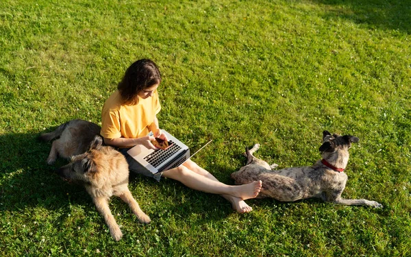 Mooie Gelukkige Jonge Vrouw Zittend Het Gras Met Smartphone Laptop — Stockfoto