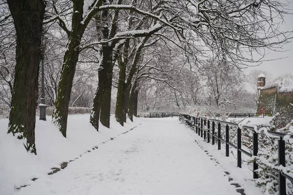 Wandelpad Winterpark Een Besneeuwde Bewolkte Dag Prachtig Stadsgezicht — Stockfoto