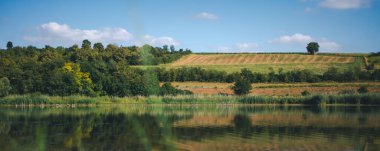 Göl kenarındaki yeşil orman doğadaki su güzelliğinin yansımasıdır.