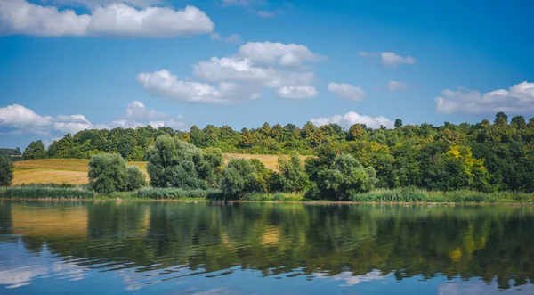 Floresta Verde Junto Lago Reflexão Beleza Água Natureza — Fotografia de Stock