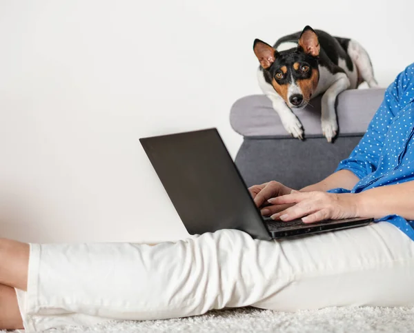 Mujer trabajando en casa usando portátil en sofá sentado con su perro mascota —  Fotos de Stock