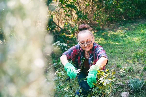 Feliz Bela Mulher Idosa Anos Poda Plantas Seu Jardim Usando — Fotografia de Stock
