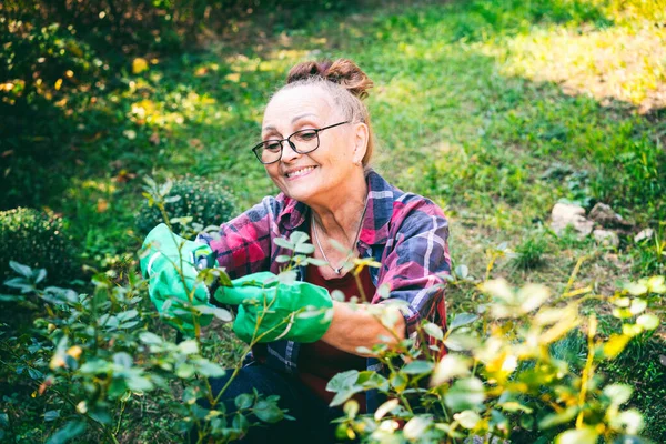 Feliz Bela Mulher Idosa Anos Poda Plantas Seu Jardim Usando — Fotografia de Stock