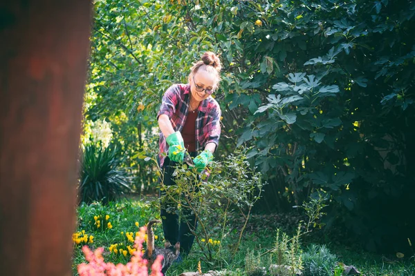 Feliz Bela Mulher Idosa Anos Poda Plantas Seu Jardim Usando — Fotografia de Stock