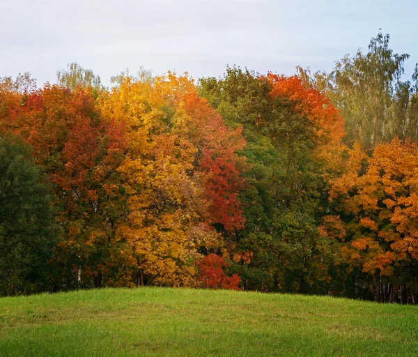 Paisaje de otoño, los colores brillantes de la temporada —  Fotos de Stock