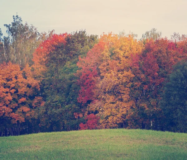 Φθινοπωρινό τοπίο, τα φωτεινά χρώματα της σεζόν — Φωτογραφία Αρχείου