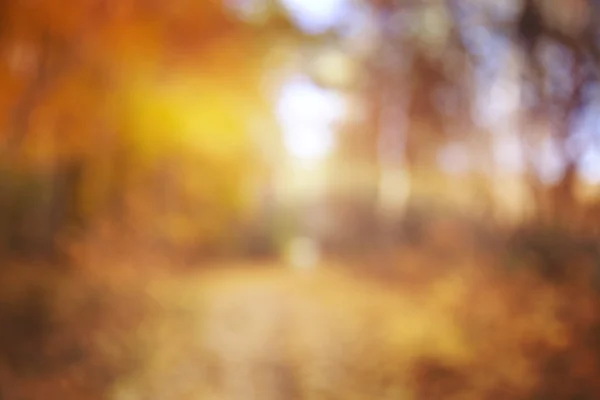 Vista autunnale sfocata con colori vivaci dorati, arancioni e bok — Foto Stock