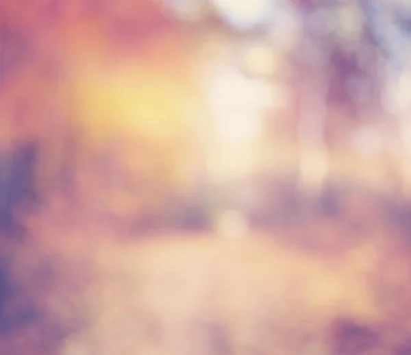 Intreepupil herfst weergave met levendige gouden, oranje kleuren en bok — Stockfoto