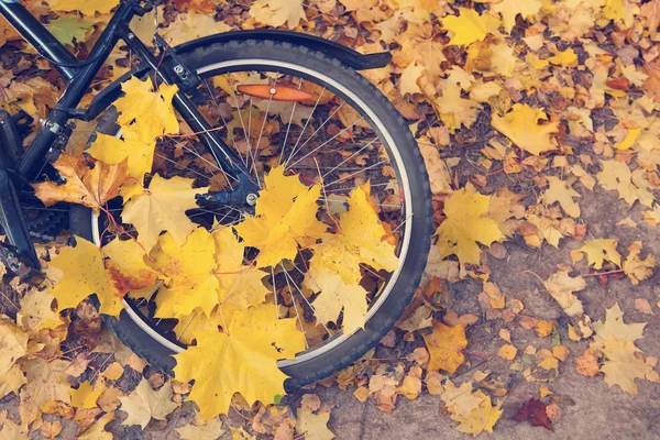 Bicycle wheel in the yellow leaves — Stock Photo, Image