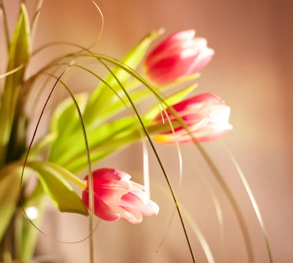 Lindas flores feitas com filtros de cor — Fotografia de Stock