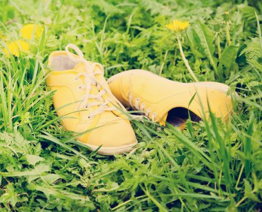 yeşil çimen, Bahar yürüyüşte üzerinde sarı spor ayakkabı