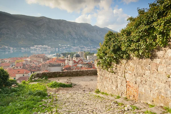 Baia di Kotor e centro storico dalla montagna di Lovcen. Montenegro . — Foto Stock