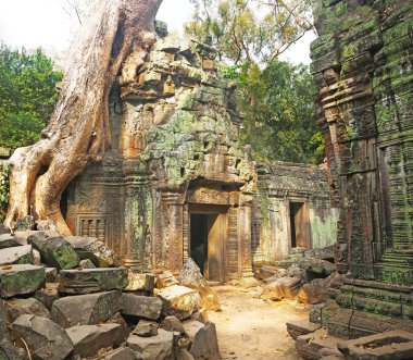 Angkor Watt tapınak kompleksi, Kamboçya
