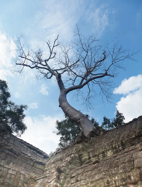 Angkor Watt templo complexo, Camboja — Fotografia de Stock