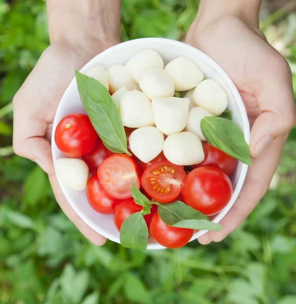 Tomates cherry, albahaca y queso mozzarella en un plato en las manos —  Fotos de Stock