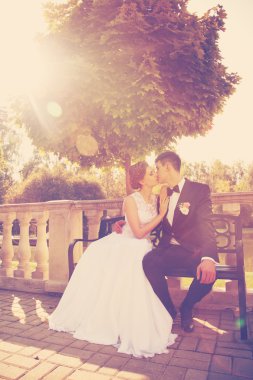 Çekici gelin ve damat öpüşme, bir bankta oturan