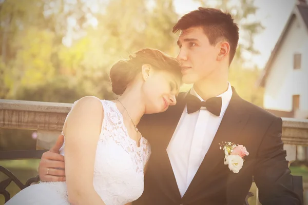 Novia y novio atractivos, día de la boda —  Fotos de Stock