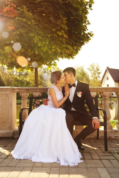 Attractive bride and groom kissing, sitting on a bench — Stock Photo, Image