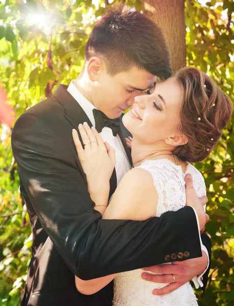 Ніжно наречений цілує наречену — стокове фото