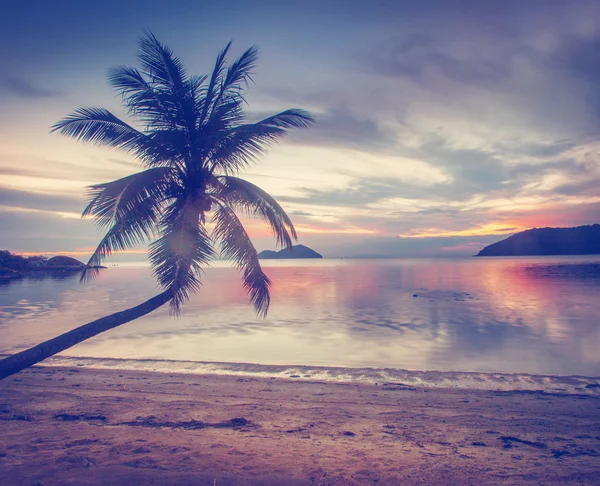 Hermoso paisaje tropical. Playa y palmeras al atardecer —  Fotos de Stock