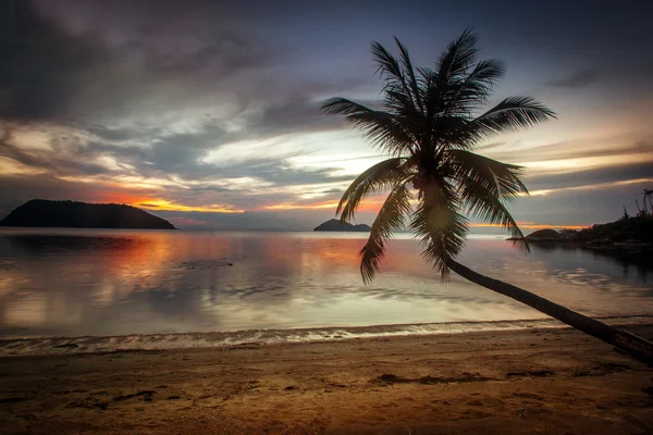 Mooi tropisch landschap. Kust en palm bomen bij zonsondergang — Stockfoto