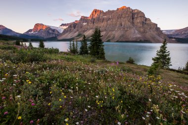 Sunrise at Bow Lake in Banff National Park clipart