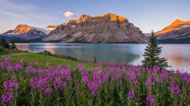 Sunrise at Bow Lake in Banff National Park clipart