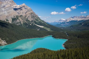 Peyto Lake, Banff Ulusal Parkı