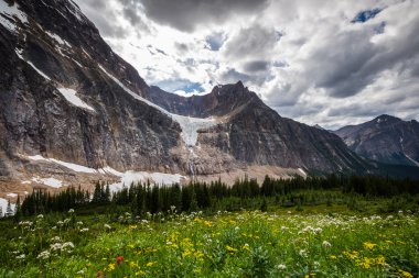 Cavell çayır ve Mt Edith Cavell Jasper na buzulda melek