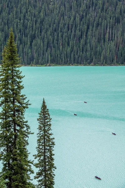 Kayakers en el lago Louise telón de fondo por un bosque de abeto gigante tre —  Fotos de Stock