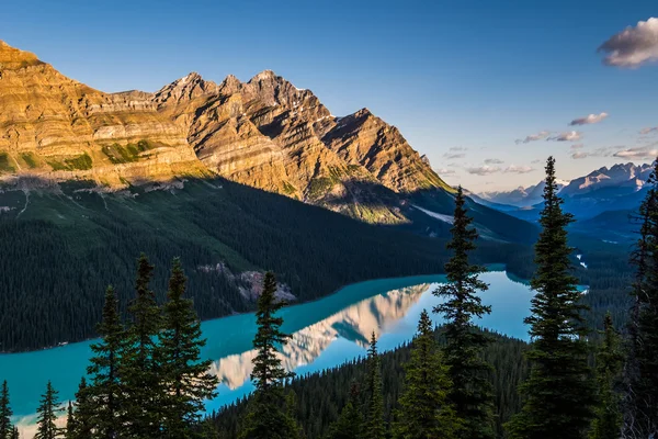 Solopgang ved Peyto Lake, Banff Nationalpark - Stock-foto