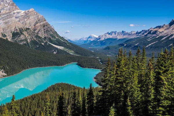 Lago Peyto, Parque Nacional Banff — Foto de Stock