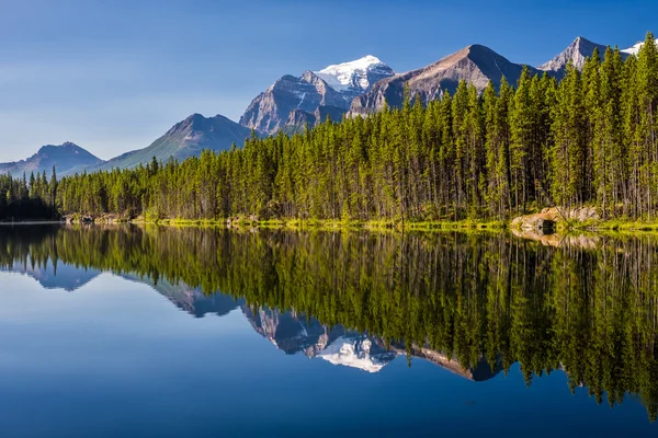 Snötäckta toppar begrunda Herbert Lake i Banff National Park — Stockfoto