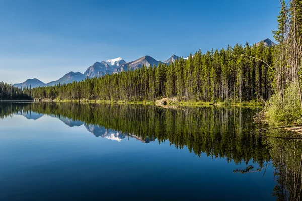 Snötäckta toppar begrunda Herbert Lake i Banff National Park — Stockfoto