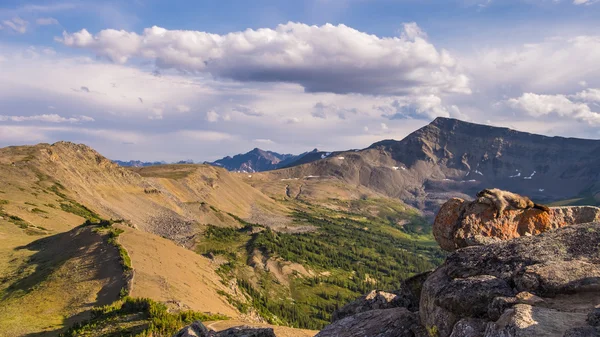 Una Hoary Marmot prende il sole su una delle cime delle colline calve i — Foto Stock