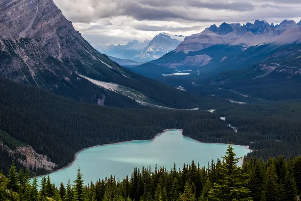 Bir bulutlu gün gölde Peyto — Stok fotoğraf