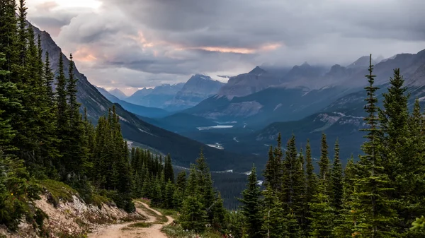 Las duchas se mueven en el valle de Peyto al atardecer —  Fotos de Stock