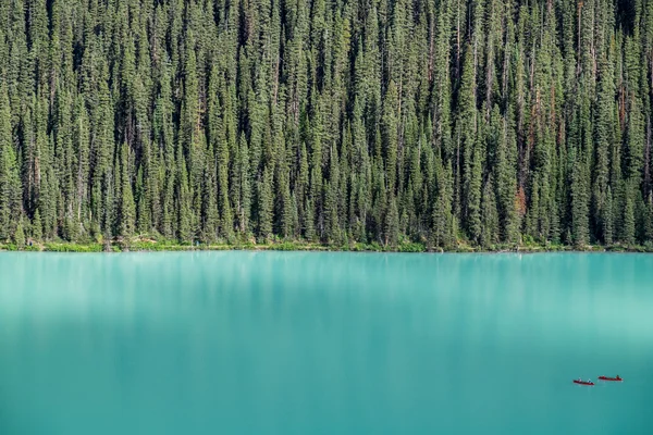 Kajakpaddlare på Lake Louise backdropped av en skog av giant fir tre — Stockfoto