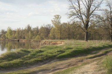 bir yolda genç kız