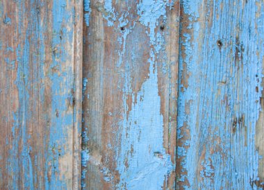 eski yönetim kurulu