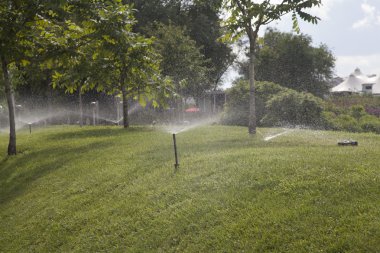 fotoğraf stüdyosu, perceptia belgili tanımlık becerikli alet ile kız