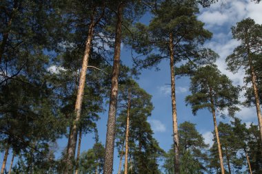 путешествие по России