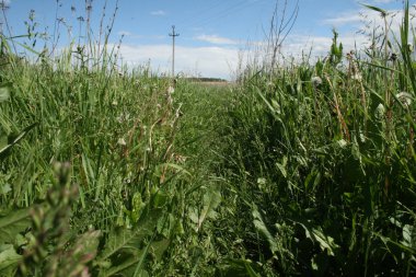 путешествие по России