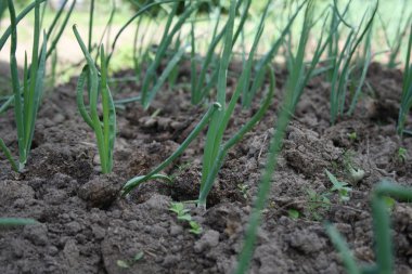 путешествие по России