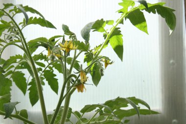 путешествие по России