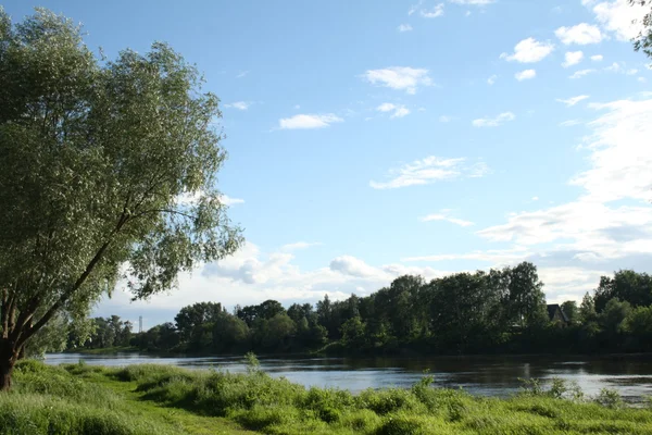 Das ist nicht der Fall. — Stockfoto