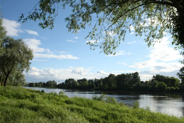 Das ist nicht der Fall. — Stockfoto